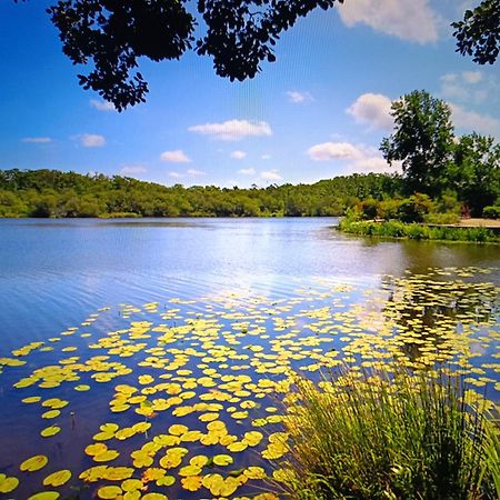 Vacances Dans Les Landes Aureilhan  Extérieur photo