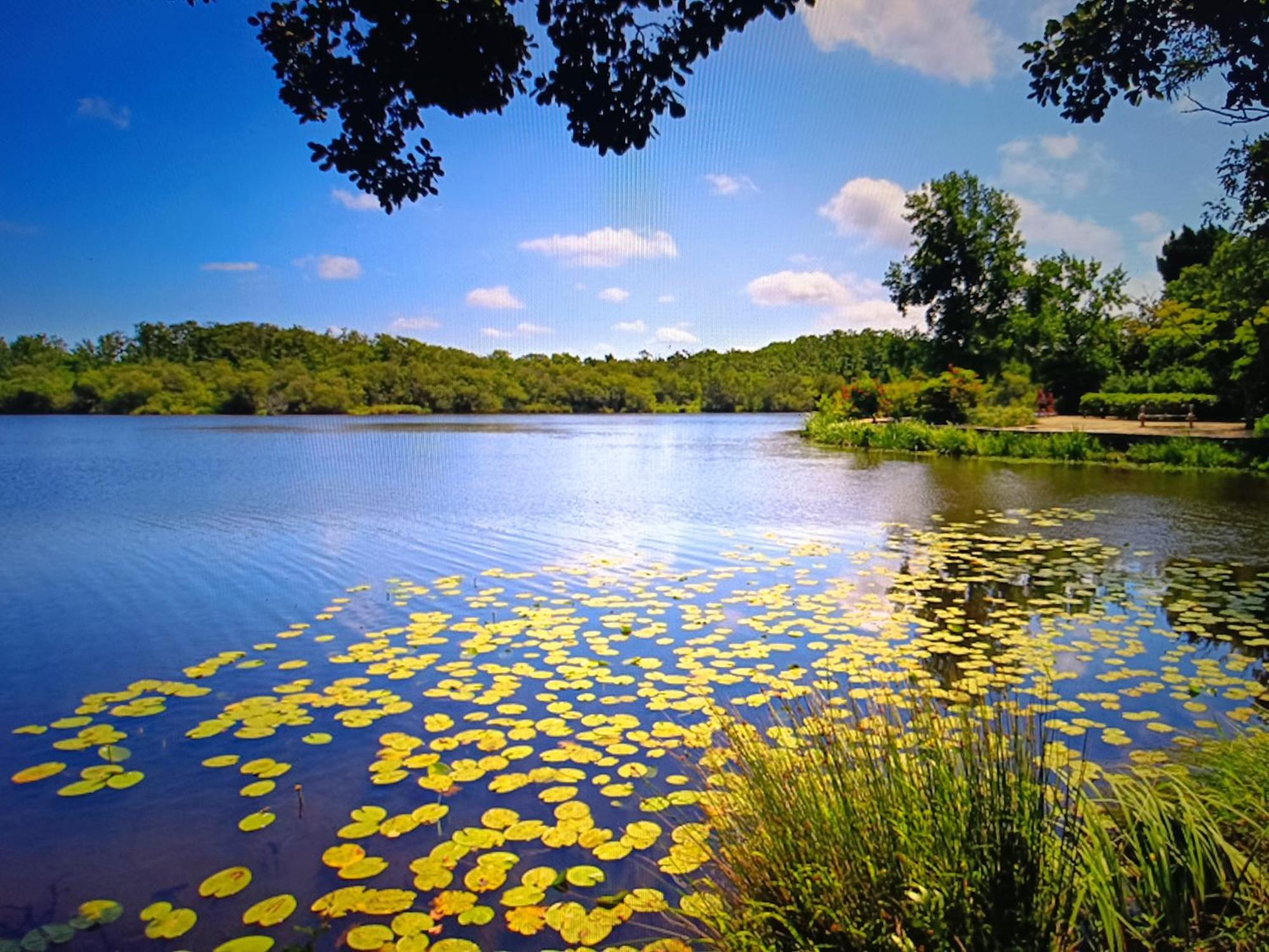 Vacances Dans Les Landes Aureilhan  Extérieur photo
